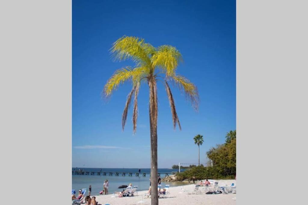 Sea Spray, Studio 114, Beach Steps Away! Pool+Wifi Ruskin Extérieur photo