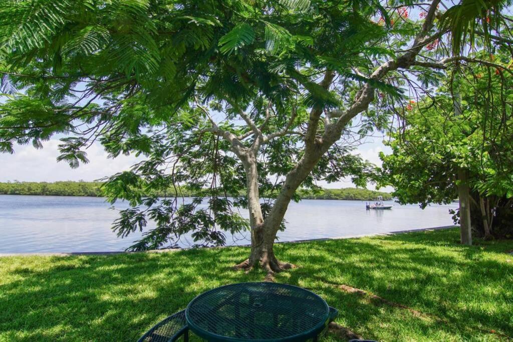 Sea Spray, Studio 114, Beach Steps Away! Pool+Wifi Ruskin Extérieur photo